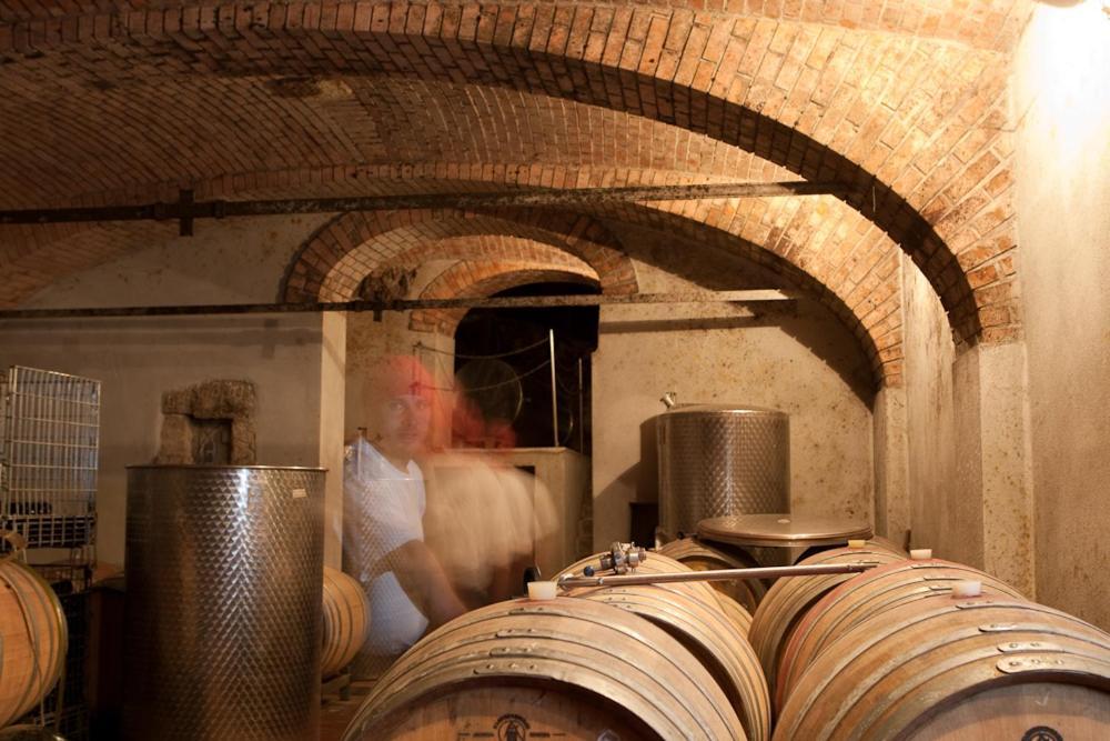 Wohnatelier Im Bioweingut Apartment Rust Luaran gambar